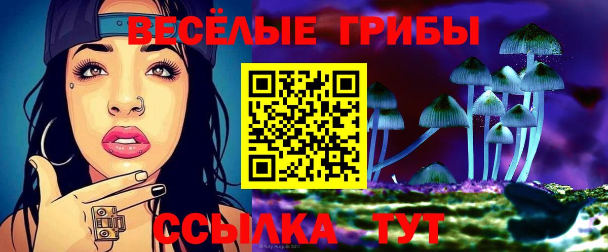 Псилоцибиновые грибы прущие грибы  Вход с VPN  Острогожск  Галлюциногенные грибы мицелий 